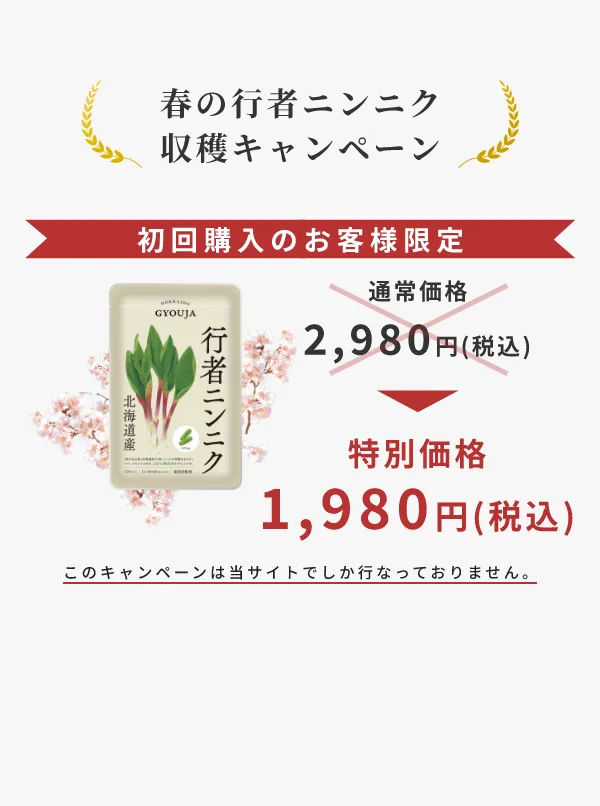 春の行者ニンニク収穫キャンペーン | 初回購入のお客様限定 | 通常価格 2,980円(税込)→特別価格1,980円(税込) | このキャンペーンは当サイトでしか行なっておりません。