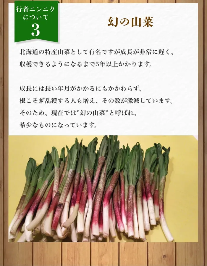 行者ニンニクについて3｜幻の山菜｜北海道の特産山菜として有名ですが成長が非常に遅く、収穫できるようになるまで5年以上かかります。成長には長い年月がかかるにもかかわらず、根こそぎ乱獲する人も増え、その数が激減しています。そのため、現在では”幻の山菜”と呼ばれ、希少なものになっています。