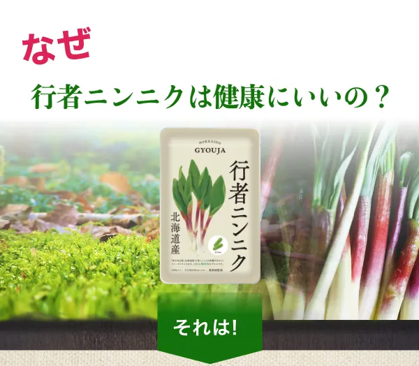 なぜ行者ニンニクは健康にいいの？｜それは｜