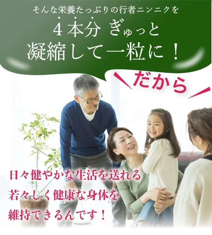 そんな栄養たっぷりの行者ニンニクを４本分ぎゅっと凝縮して一粒に！｜だから日々健やかな生活を送れる若々しく健康な身体を維持できるんです！