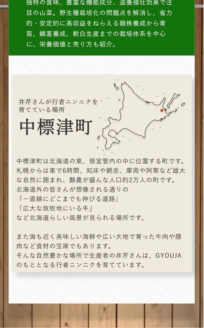 井芹さんが行者ニンニクを｜中標津町｜中標津町は北海道の東、根室管内の中に位置する町です。札幌からは車で6時間、知床や網走、摩周や阿寒など雄大な自然に囲まれ、酪農が盛んな人口約2万人の町です。北海道外の皆さんが想像される通りの「一直線にどこまでも伸びる道路」「広大な放牧地にいる牛」など北海道らしい風景が見られる場所です。また海も近く美味しい海鮮や広い大地で育った牛肉や豚肉など食材の宝庫でもあります。そんな自然豊かな場所で生産者の井芹さんは、GYOUJAのもととなる行者ニンニクを育てています。